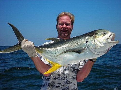 Yellowfin Jack Crevalle caught by fishing on light tackle by Ed in orange beach