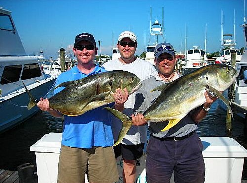 Jack Crevalle or Alabama Yellowfin fight harder than the King Mackerel Fish.