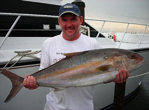 Orange Beach Fishing for Amberjack