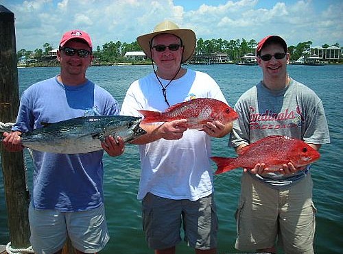 Bull Shark attacks while Red Snapper fishing off Gulf Shores