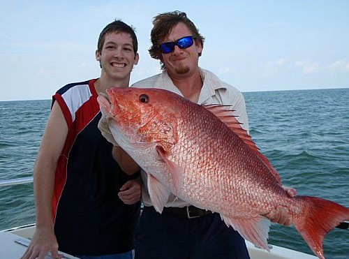 Trophy Size Red Snapper caught on first trip ever!