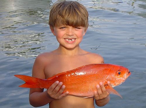 Gulf Shores Spring Fishing