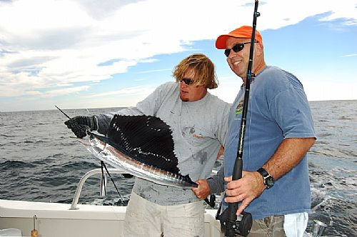 Sailfish Fishing Charters Orange Beach