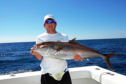 Offshore fishing for Amberjack in Orange Beach