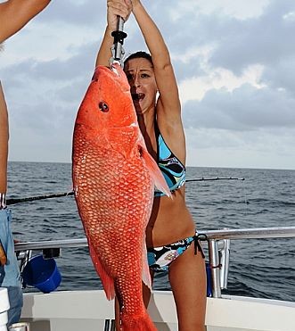 Last-Week-of-Red-Snapper-Season-Produces-Monster-Size-Fish-in-Orange-Beach