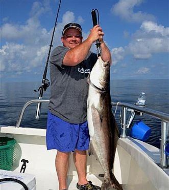 Fishing in Orange Beach Yields Angler A Big Cobia