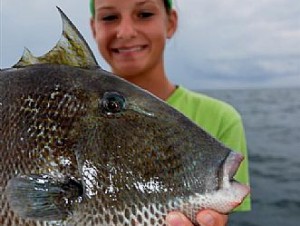 Triggerfish are some of the fish you catch while deep sea fishing in Orange Beach