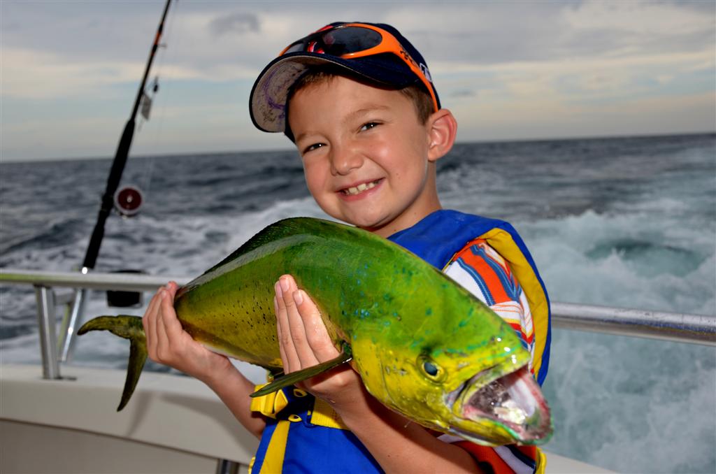 little boy holding mahi mahi or dolphin fish.