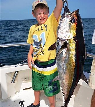 Blackfin Tuna Roll In Near Shore