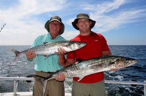 Catching King Mackerel fish