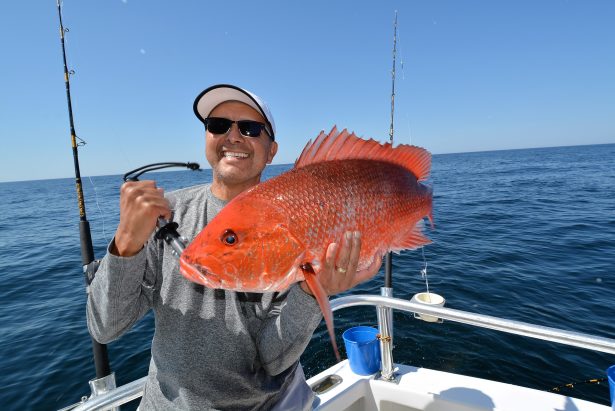 big-red-snapper