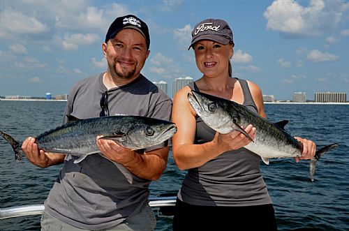 Orange Beach Fishing Boats offer Trolling during the Fall