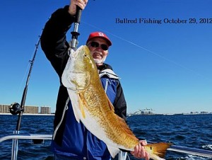 Catching Bull Redfish during Fall and Winter right off the beach while trolling