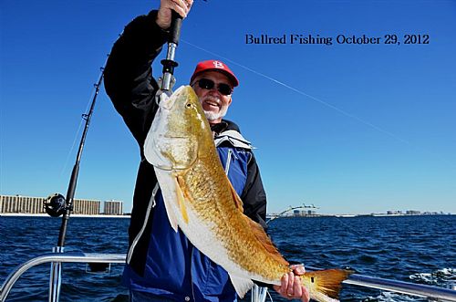 Catching Bull Redfish during Fall and Winter right off the beach while trolling