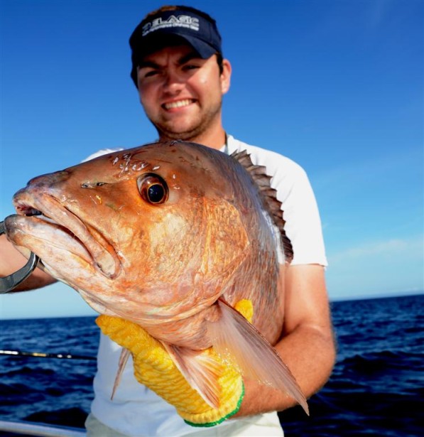 catching mangrove snapper in orange beach