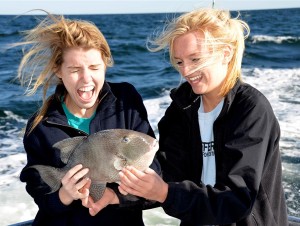 Trigger Fish Fun