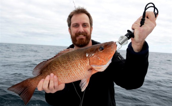 Gulf Shores Spring Break Fishing 2014 Begins