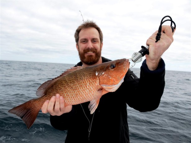 holding a mangrove snapper