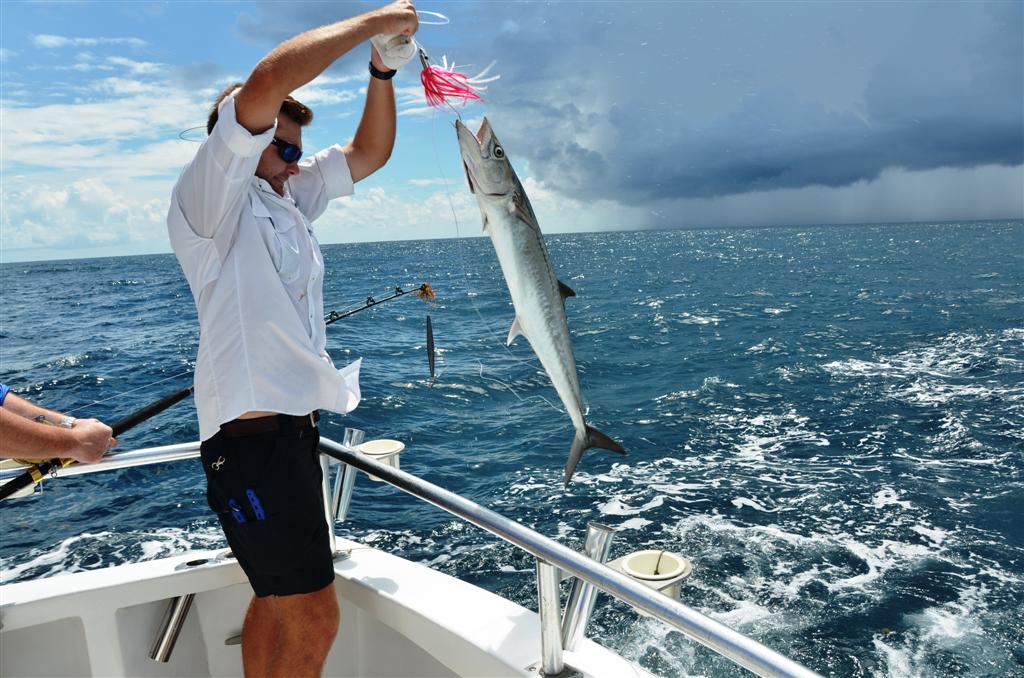 trolling-fishing-kingfish - Distraction Charters