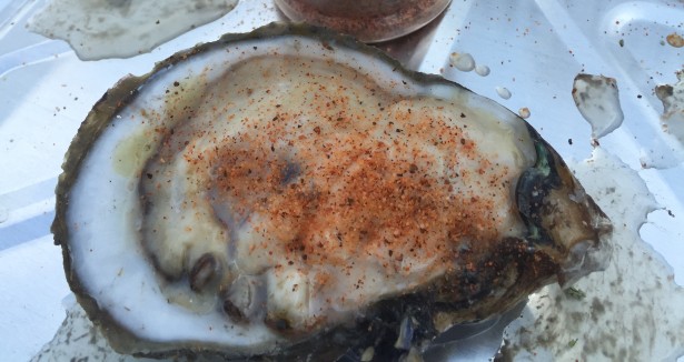 raw oysters with heifer dust seasoning