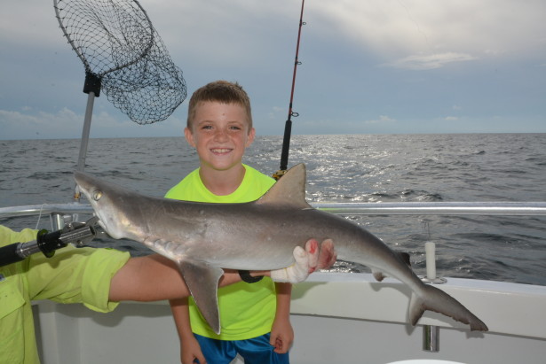 atlantic-sharp-nose-shark-fishing