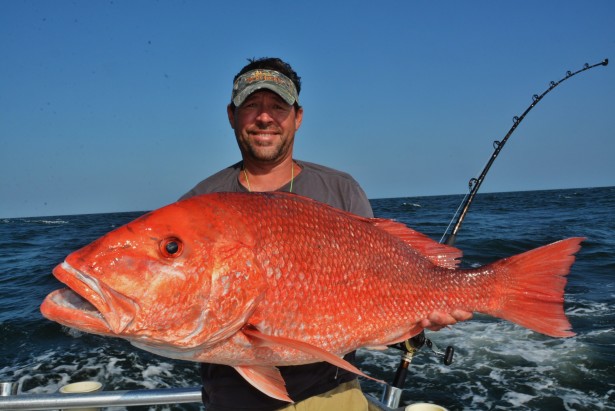 big red snapper