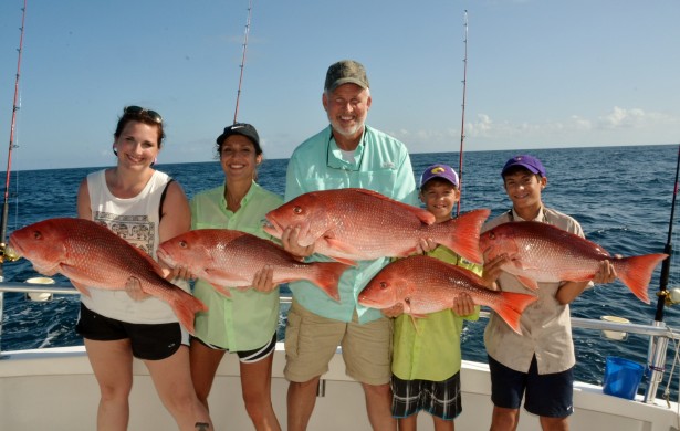 red snapper