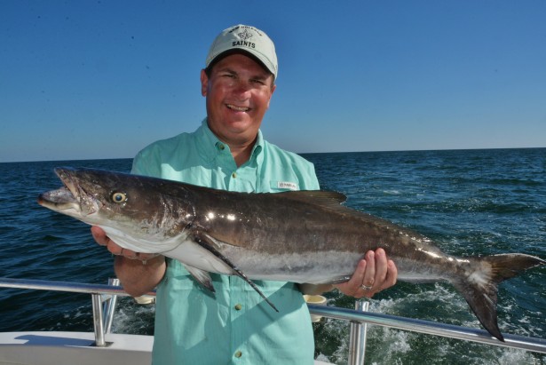 cobia fishing