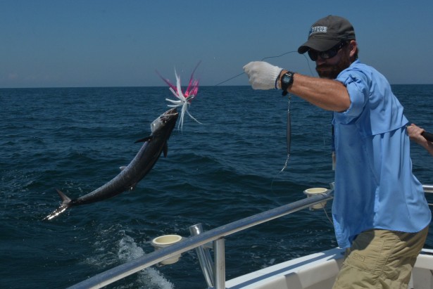 king mackerel fishing