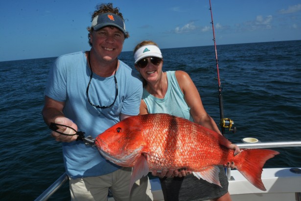 catch and release red snapper