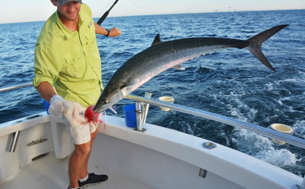 Trolling Fishing Trips