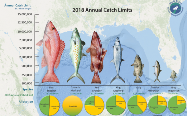 NOAA Fisheries Gives Gulf Anglers More Access To Fish