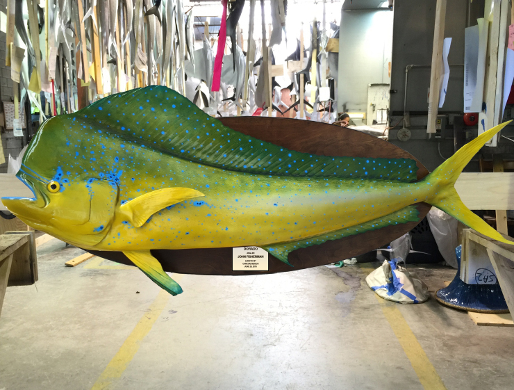 Blue Marlin fish mount at Gray Taxidermy