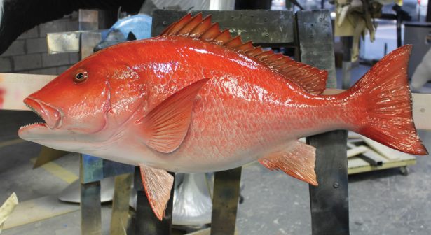 red-snapper-fish-mount