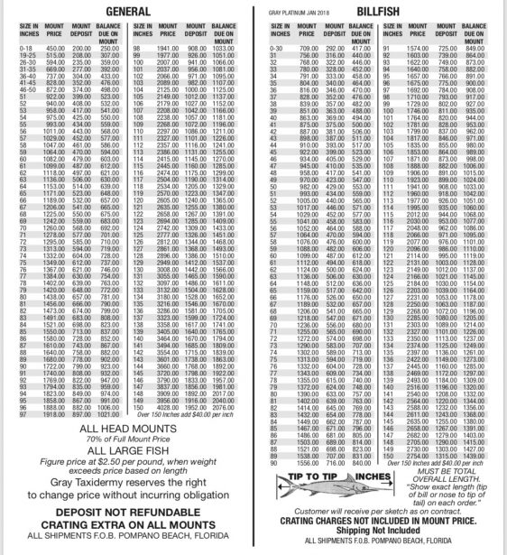 fish-mounting-prices