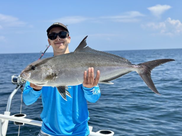 almaco jack fish