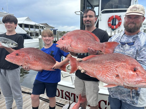 red snapper